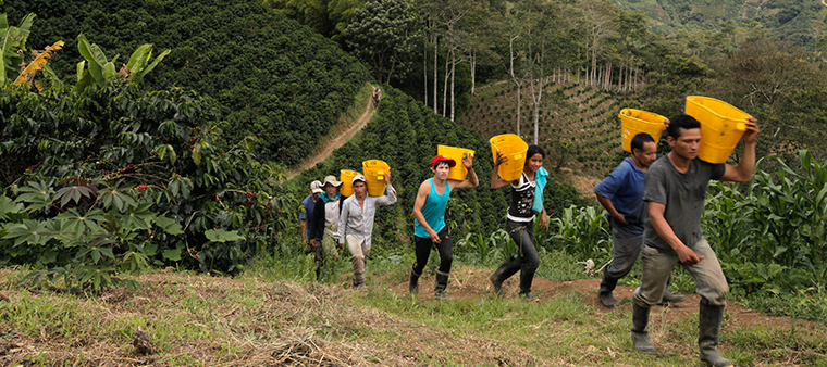 How Juan Valdez Brews Success for Colombian Farmers